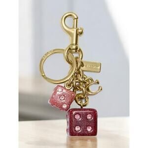 NWT Coach CH831 Multi Dice Cluster Bag Charm